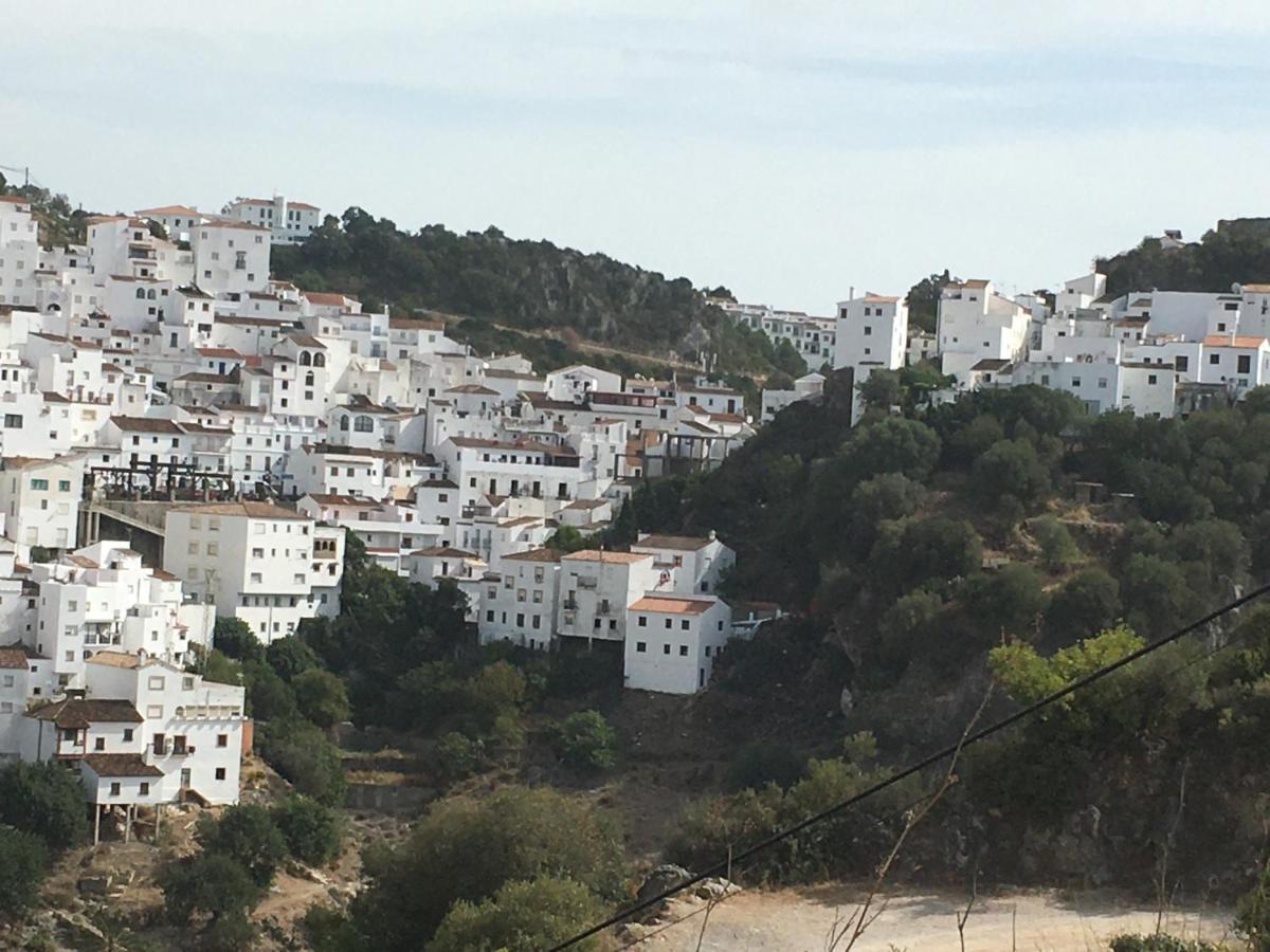 Casares Vacations公寓 外观 照片