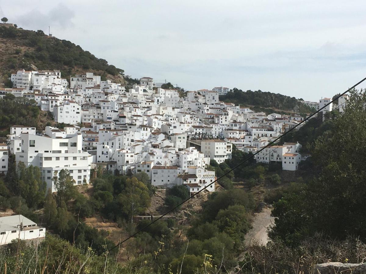 Casares Vacations公寓 外观 照片